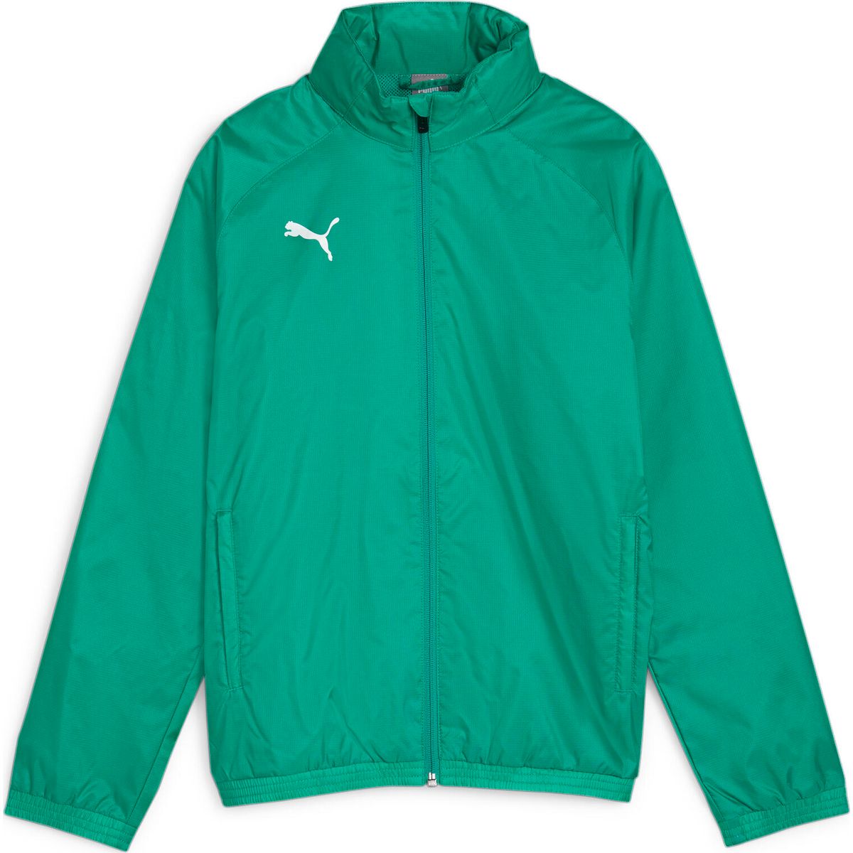 Puma Teamgoal Allweather Jacket Jr sport green-puma white (05) 116 659045-05-116