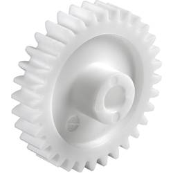 Reely Polyacetal Stirnzahnrad Modul-Typ: 1.0 Bohrungs-Ø: 6 mm Anzahl Zähne: 25 SH1025HF