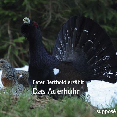 Das Auerhuhn - Peter Berthold,Klaus Sander, Audio, 9783863850197