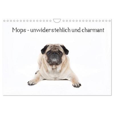 Mops - unwiderstehlich und charmant (Wandkalender 2026 DIN A4 quer), CALVENDO Monatskalender