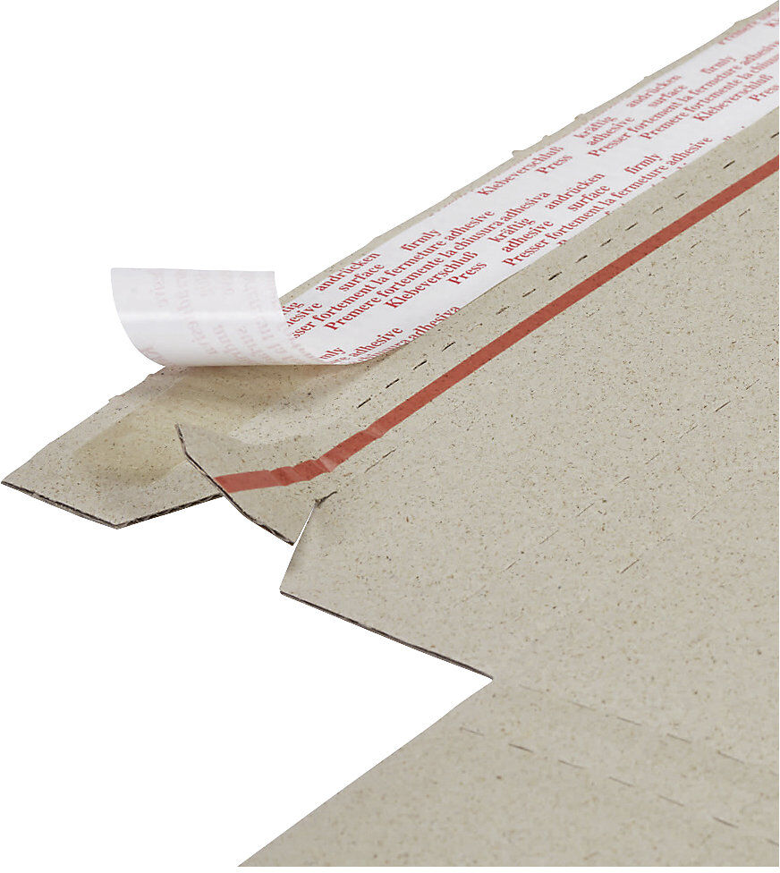 Graspapier-Flachpack, selbstklebend, Innen-LxBxH 257 x 207 x 13 mm, ab 30 Stk ratioform terra