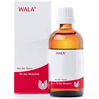 Levisticum E radice W 5% Öl 100 ml