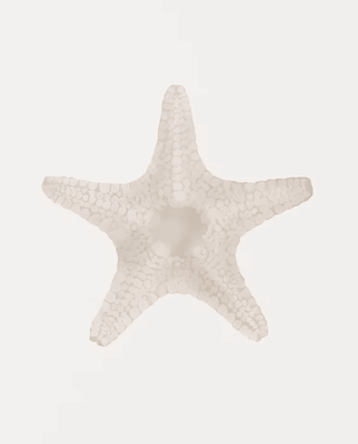 Inspire Curations Watercolor Seashell & Starfish Canvas Wall Art Set Coastal Ocean Home Decor 5 1pc 20x30cm No Frame