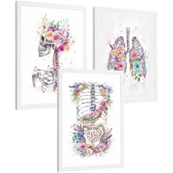 POSTER Set aus 3 Anatomie Drucke mit Skelett Schädel Wirbelsäule Rippen Lungen und Verdauungssystem Künstlerischer Größe Weißer Rahmen A4