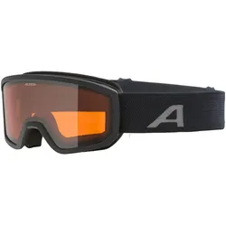 Alpina, Skibrille