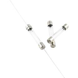 ESKA 530220 530220 Feinsicherung (Ø x L) 5 mm x 30 mm 2 A 500 V Mittelträge -mT- Inhalt 500 St.