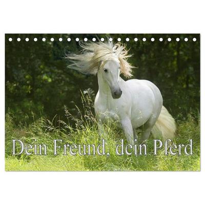 Dein Freund, dein Pferd (Tischkalender 2026 DIN A5 quer), CALVENDO Monatskalender