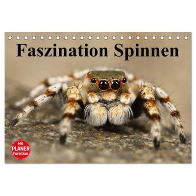 Faszination Spinnen (Tischkalender 2026 DIN A5 quer), CALVENDO Monatskalender
