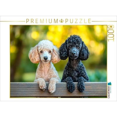 CALVENDO Puzzle Zwei Freunde, ein gemeinsamer Moment | 1000 Teile Lege-Größe 64x48cm Foto-Puzzle für glückliche Stunden, von , Calvendo Puzzle