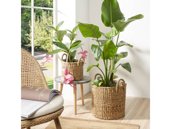 Vase à plantes 33/516 Ø 31cm Marron/Marron
