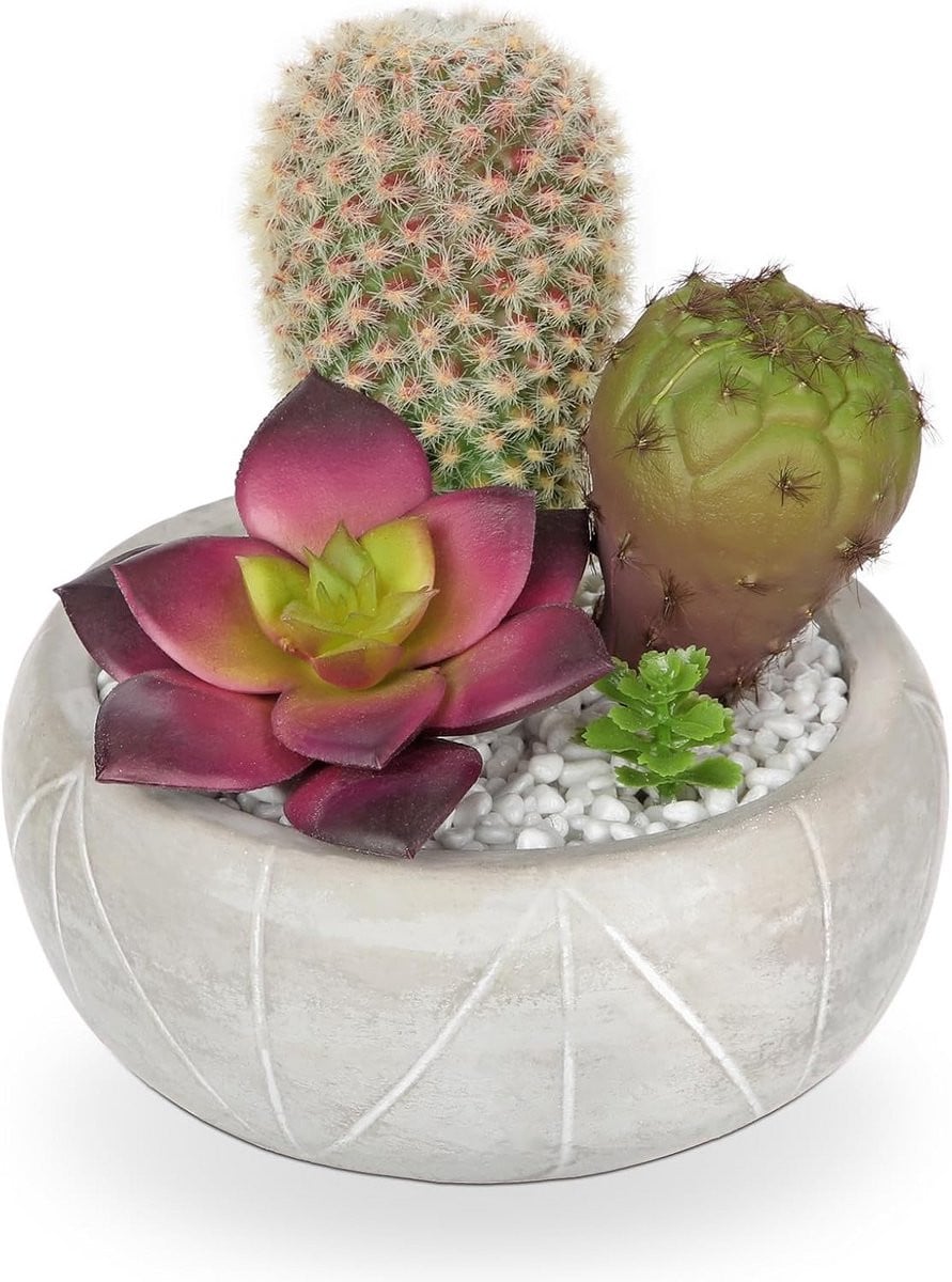 Nep Cactussen in Pot - Kleine Kunstplanten voor Thuis en Kantoor Decoratie