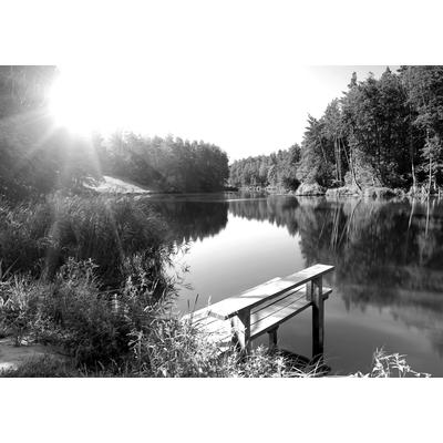 Fototapete PAPERMOON "Wald mir Fluss Schwarz & Weiß", schwarz (schwarz, weiß), B:3m L:2,23m, Vlies, Tapeten