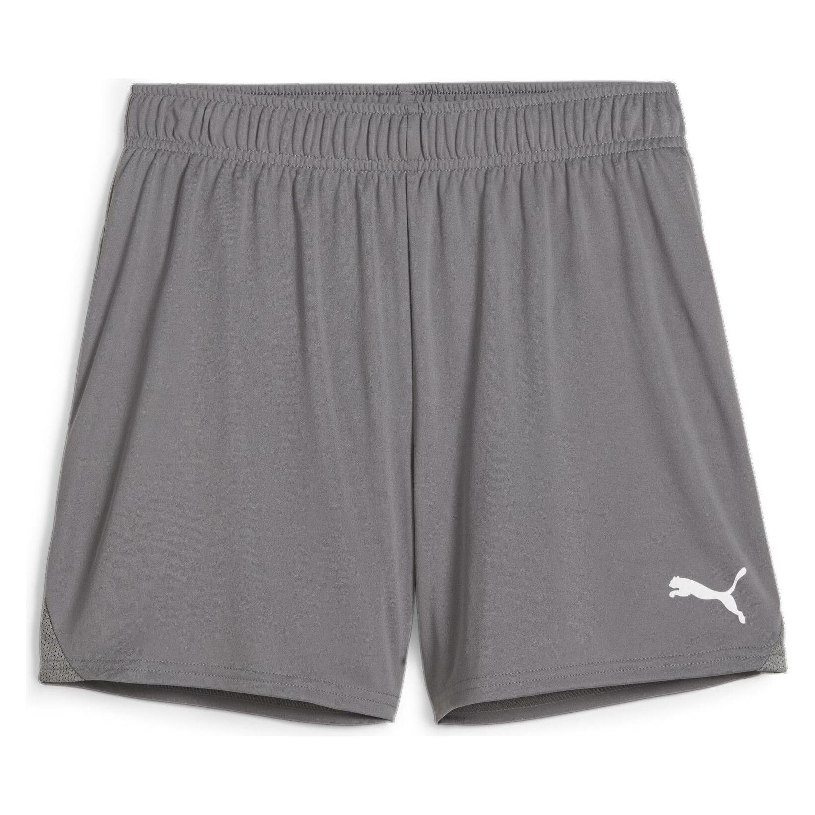 Puma teamGOAL Handball Shorts W (L) (706019_13)