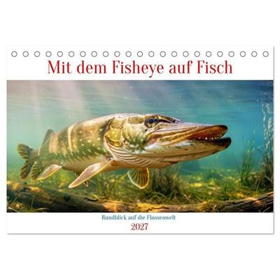 Mit dem Fisheye auf Fisch (Tischkalender 2027 DIN A5 quer), CALVENDO Monatskalender