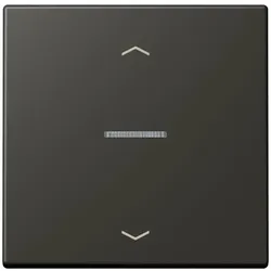 Jung Wippe mit Lichtleiter LC 101 KO5P 259