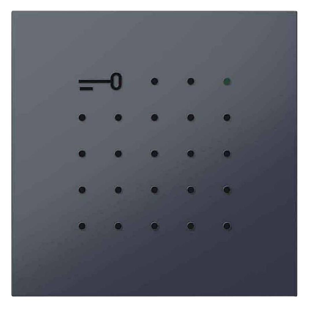 Siedle Electronic-Key-Lese-Modul (210008426-00)
