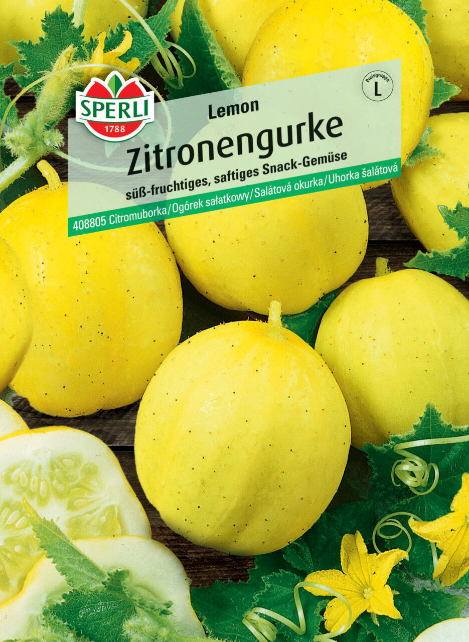 Sperli Zitronengurke Lemon