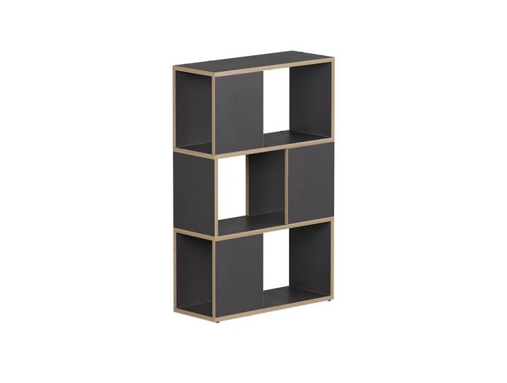 Vicco Raumteiler Eneos Anthrazit/Eiche 60 x 94 cm, Anthrazit, Eichefarben, Holzwerkstoff, 2 Fächer, Rechteckig, 60x94x24 cm, Wohnzimmer, Raumteiler & Paravents, Raumteiler
