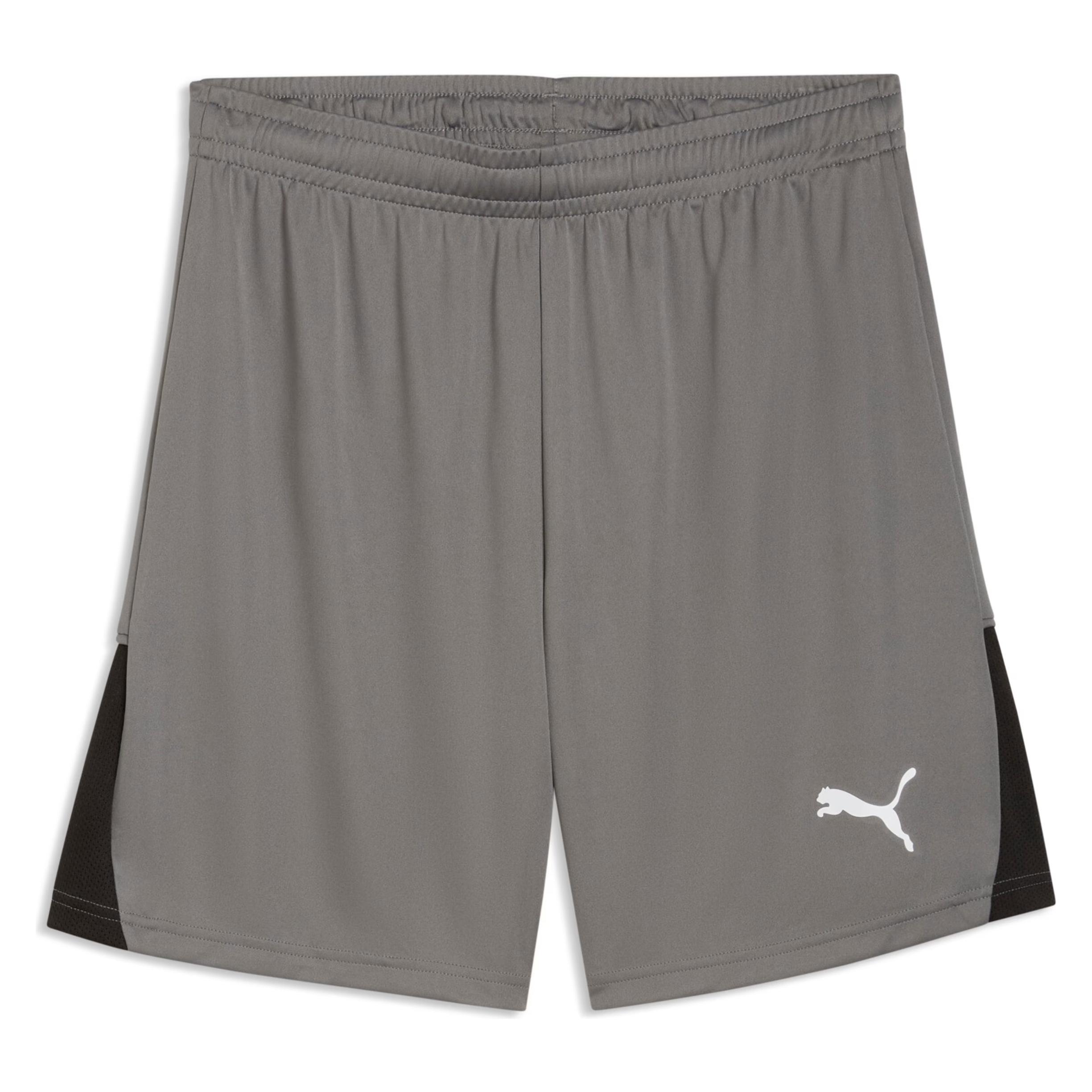 Puma teamLIGA26 Shorts (XXL) (706554)