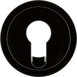 Berker Zentralstück schwarz/glänzend für Schlüsselschalter 15072045
