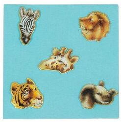 5-pack safari magneter