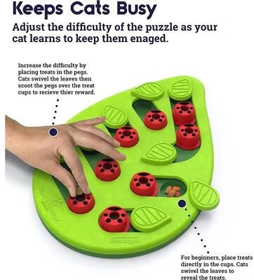 Inspire Essentials BrainBoost Cat Puzzle Treat Toy Interactive Slow Feeder And IQ Training Game white