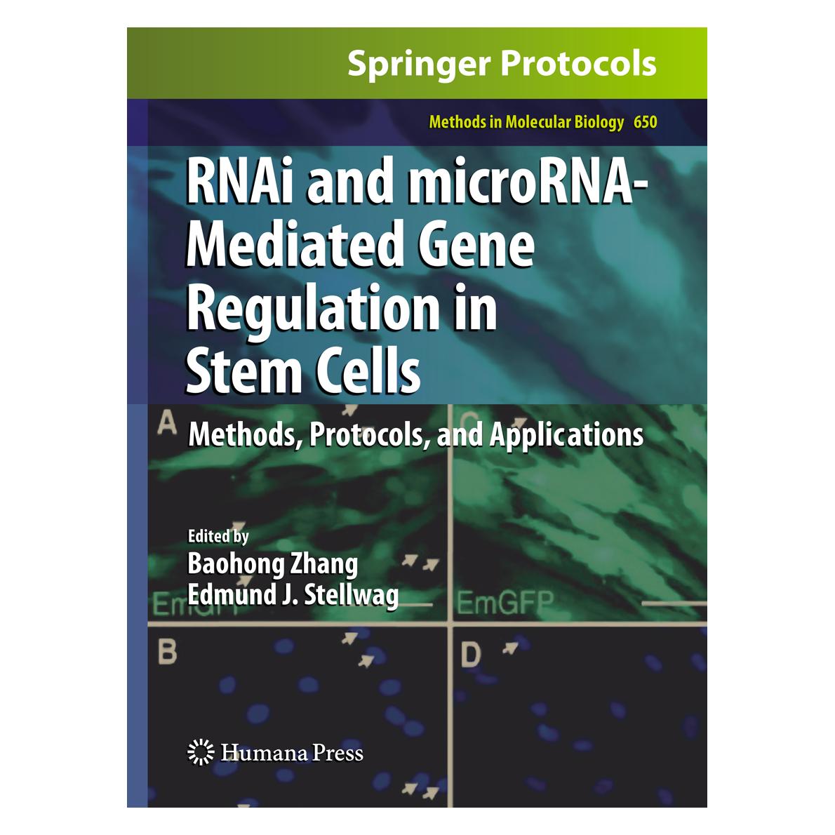 Springer RNAi and microRNA-Mediated Gene Regulation in Stem Cells (Englisch, Softcover, Baohong Zhang, Edmund J. Stellwag) (55965457)