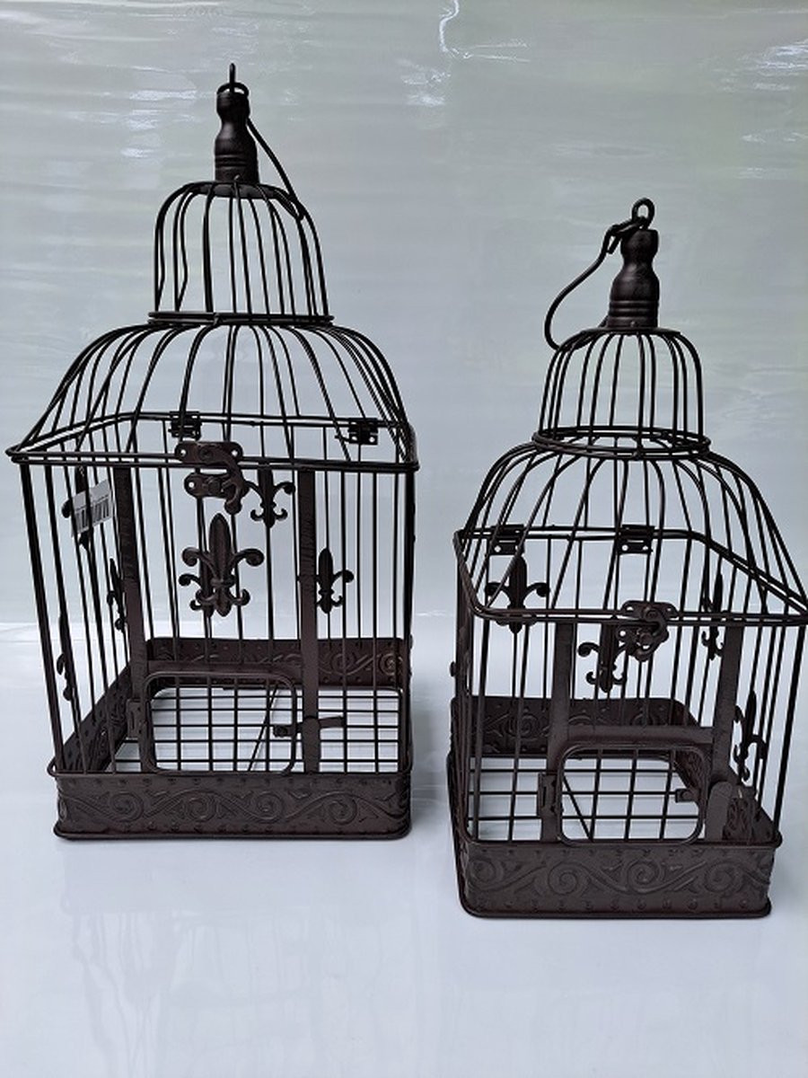 Denza Set van 2 Metalen Vogelkooien VK3VK-AB3750 voor Decoratie en Gebruik