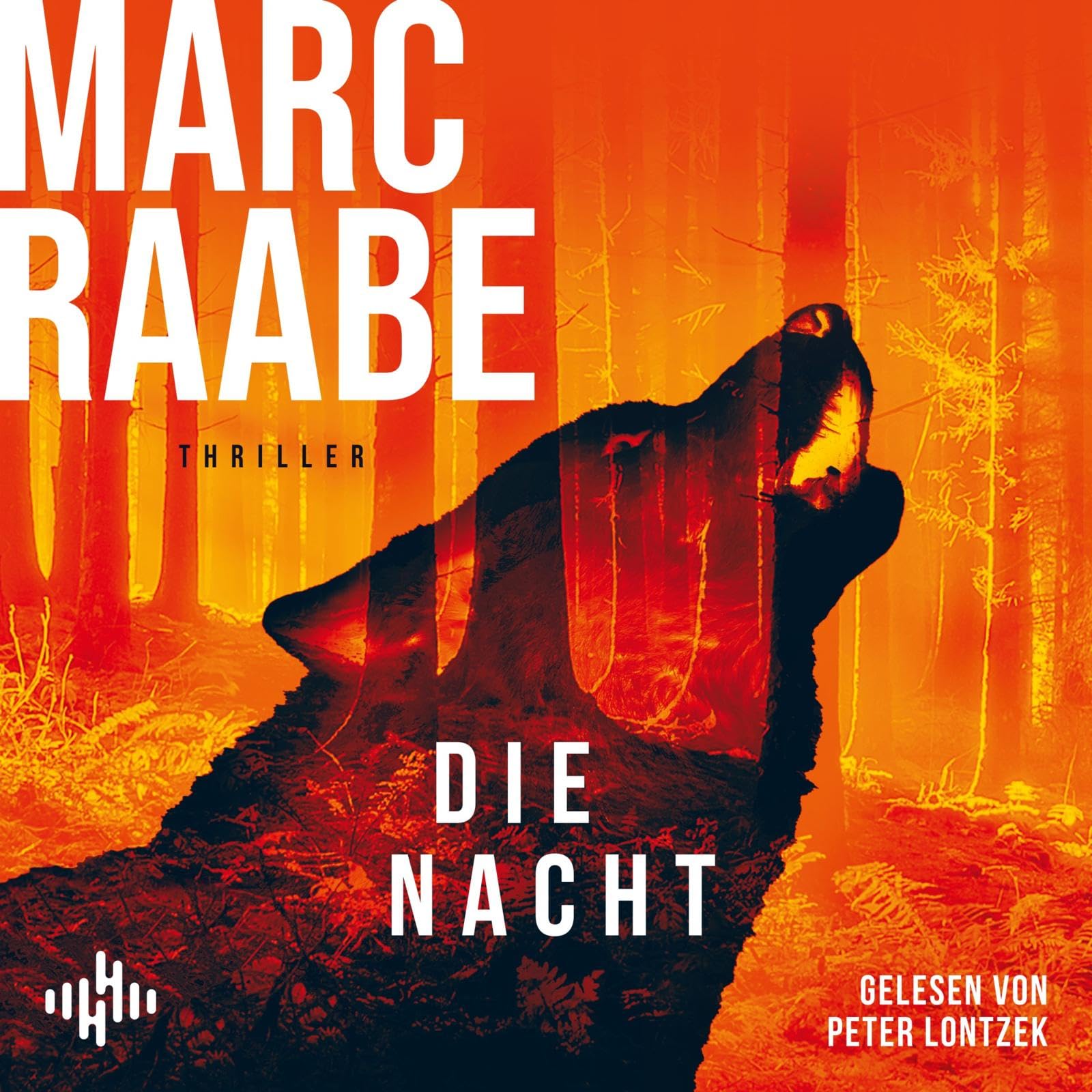 Marc Raabe - Die Nacht (Art Mayer-Serie 3): 2 CDs Bestseller von Marc Raabe bringen Sie um den Schlaf! - Preis vom 04.10.2026 03:51:26 h