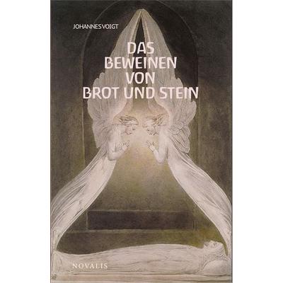 Reihe Geisteswissenschaft / Das Beweinen von Brot und Stein, Taschenbuch von Johannes Voigt, Novalis Verlag, 978-3-941664-75-3