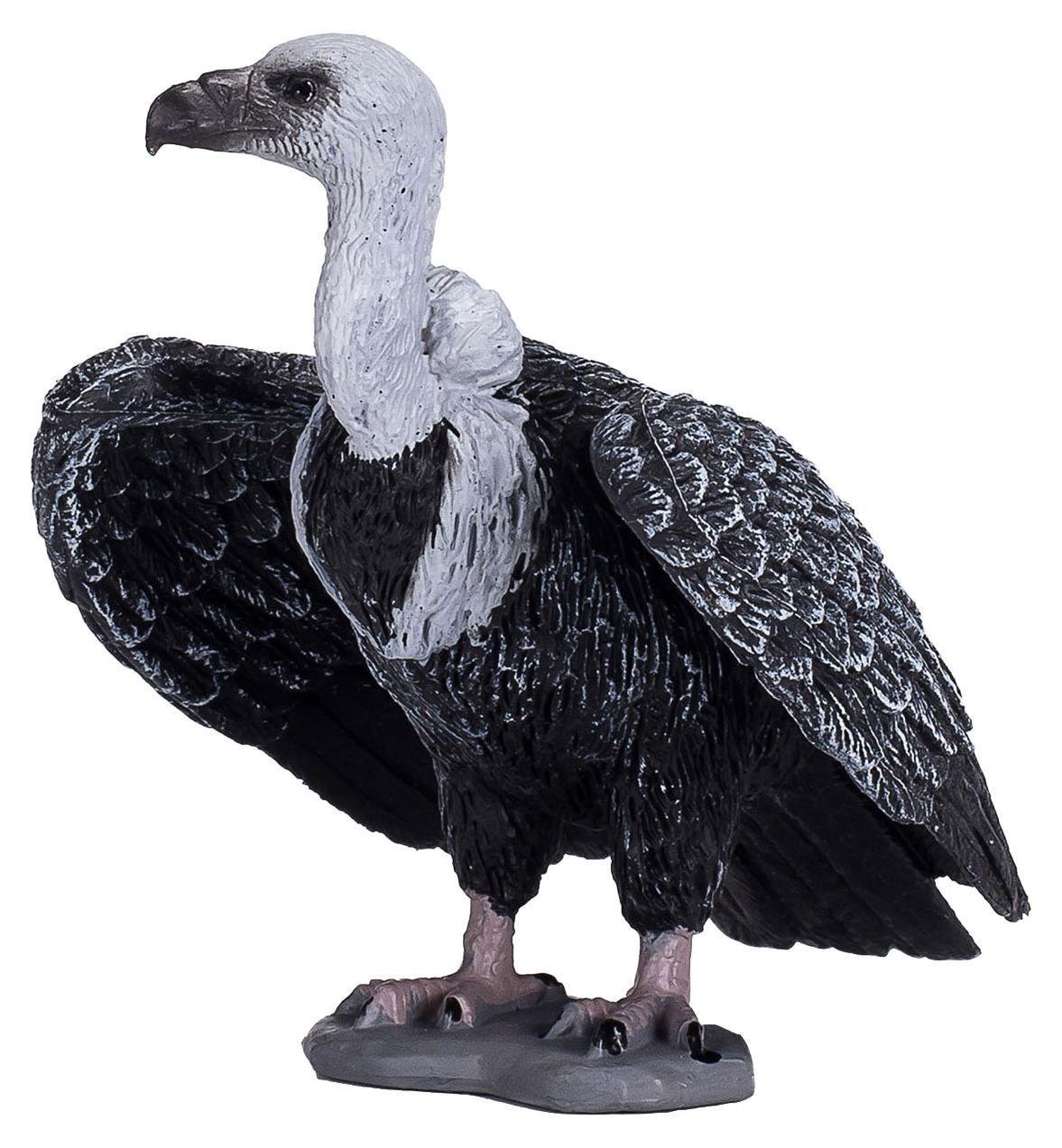 Animal Planet Ganswitte eieren