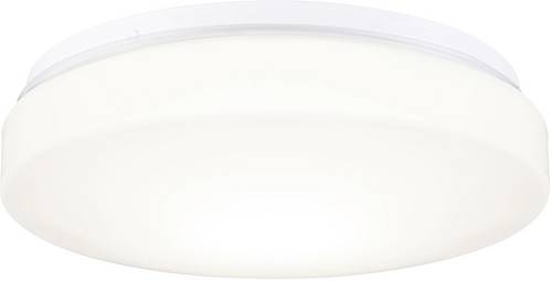 Paulmann HomeSpa Axin 78898 Bad-Wandleuchte Weiß