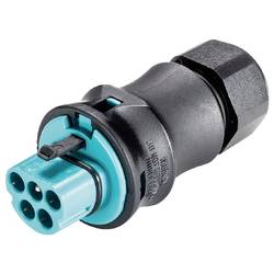Wieland Electric 96.052.4053.6 Steckverbinder