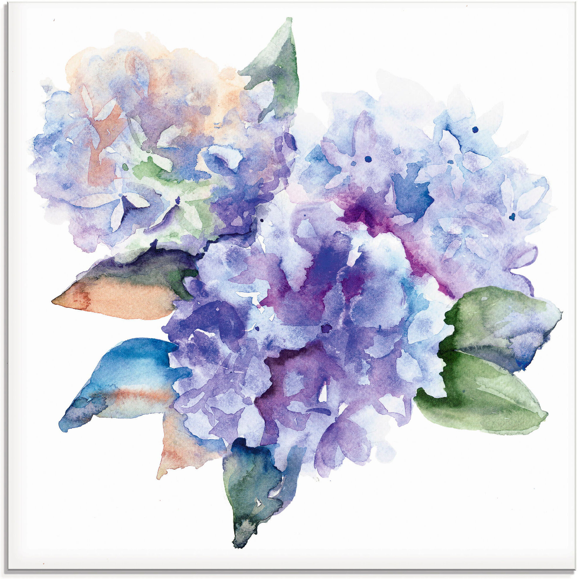 Glasbild ARTLAND "Hortensien", blau (farbe bild(er): blau), B:30cm H:30cm, Bilder, Glasbild, in verschiedenen Grössen farbe bild(er): blau B/H/T: 30cm x 30cm, Glasbild Blumen, 1 Stk.