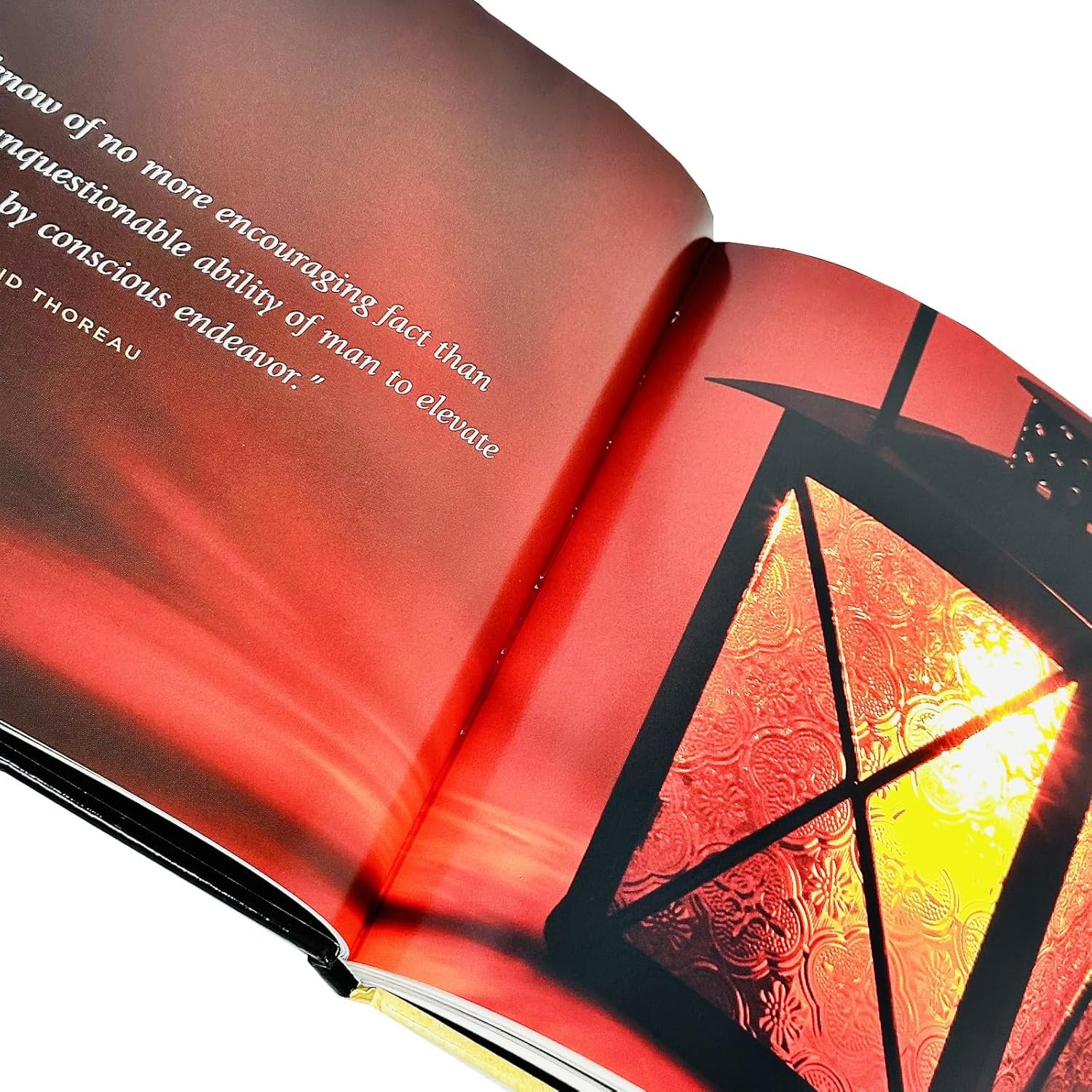 Simple Truths Leading With Passion & 7 Secrets Leadership 3-Book Set - John J. Murphy & Brian Tracy - Hardback Business Leadership Gift Set
