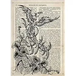 POSTER Fenix Schwarz Und Weiß A4 Schwarzer Rahmen