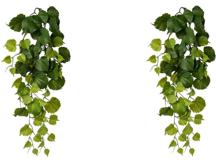 Kunstranke CREATIV GREEN Hängezweig Pappelblatt , grün, H:78cm, Obermaterial: 100% Polyethylen, Kunstpflanzen, Kunstranke