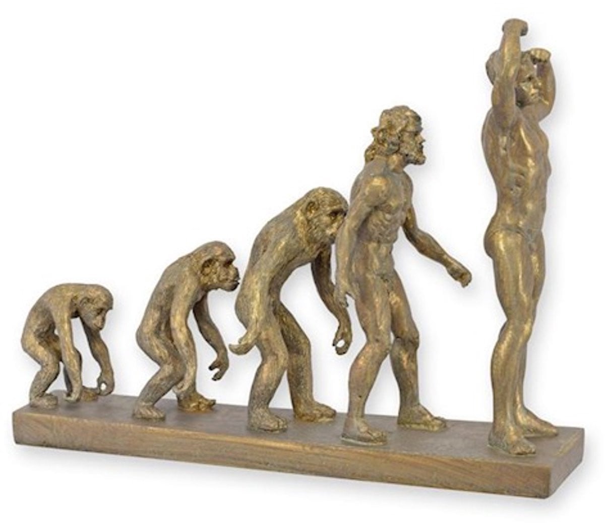 Evolutie van de mens NC202066 - Resin figuur van de menselijke evolutie - Lengte: 33 cm - Polystone