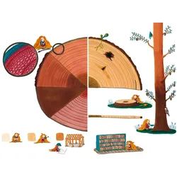 Der Wald – unser grünes Zuhause, Kinderbücher von Sara Fernndez, Sonia Roig, Sara Fernández