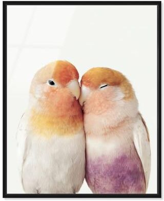 Soft Heart Connection I Animal Wall Art Acrylic Print by Notoriart