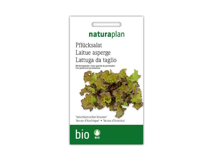 Naturaplan Bio Pflücksalat Amerikanischer Brauner 1 Portion