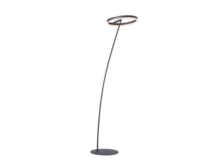 Paul Neuhaus Stehleuchte Titus, LED, schwenkbar, Schnurdimmer -
