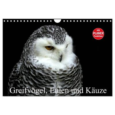 Greifvögel, Eulen und Käuze (Wandkalender 2027 DIN A4 quer), CALVENDO Monatskalender
