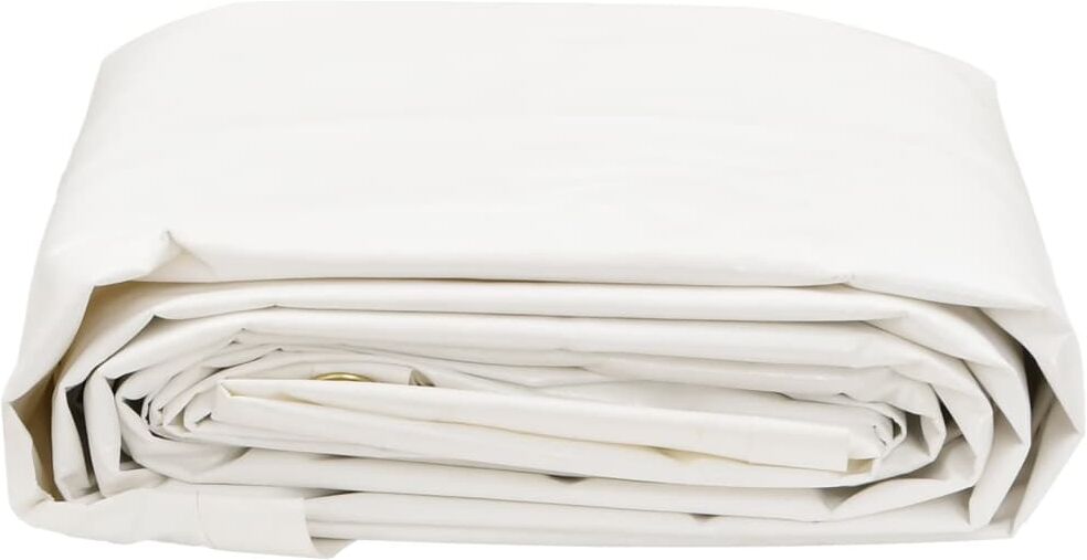 vidaXL Bâche blanc 5x8 m 650 g/m²