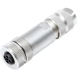 Schubiger Binder 99 1632 812 04 Miniatur-Rundsteckverbinder Kupplung, gerade Gesamtpolzahl, Elektronikkabel + Stecker