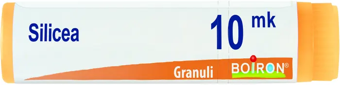 BOIRON Srl Boiron Silicea Globuli 10Mk Dose 1g