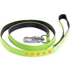Martin Sellier Fluo (Hund, Spazieren), Halsband + Leine
