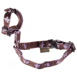 Martin Sellier Maulkorb für Hunde (2, Hund, Allgemein, Hundesport, Spazieren), Halsband + Leine