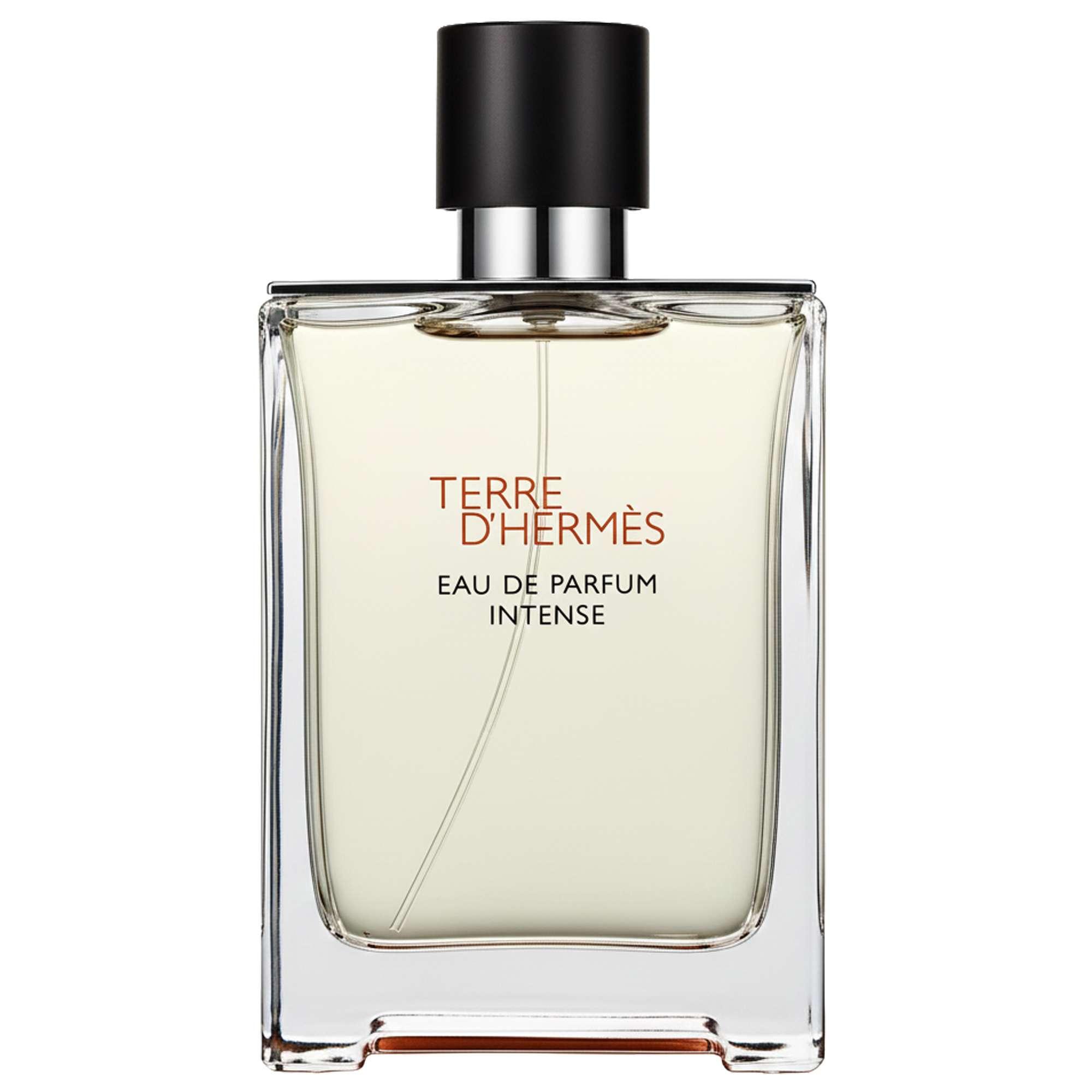 Hermès Terre d'Hermès Eau de Parfum Intense Spray 100 ml