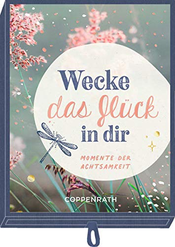 Katrin Dönnebrink - Geschenkschachtel - Wecke das Glück in dir: Momente der Achtsamkeit - Preis vom 30.09.2026 22:30:23 h